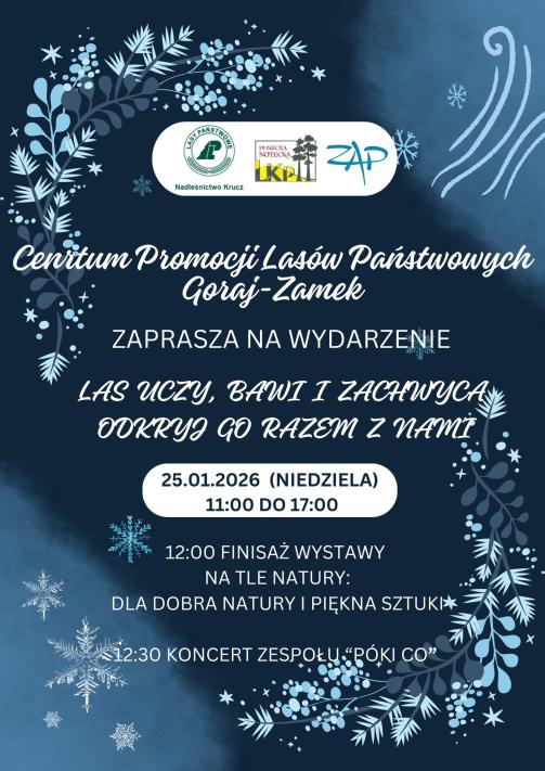 Las uczy, bawi i zachwyca – odkryj go razem z nami!