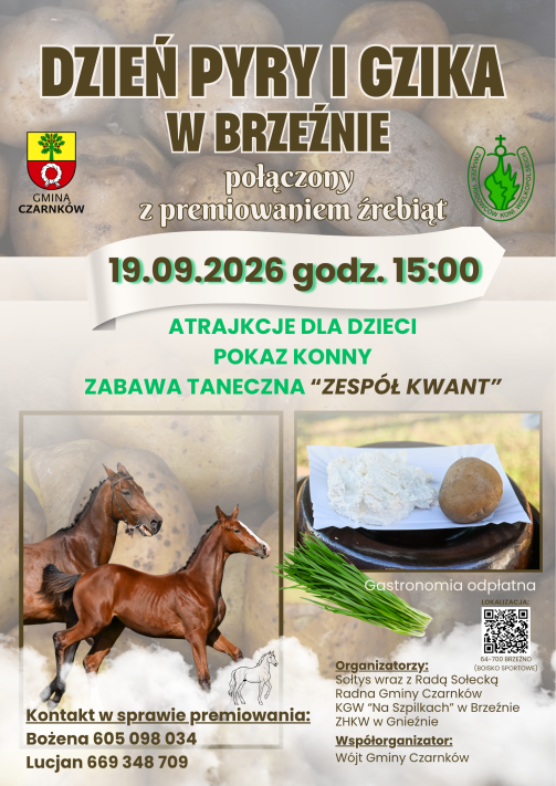 Dzień pyry i gzika połączony z premiowaniem źrebiąt w Brzeźnie