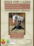 Dzień Pyry i Gzika 20.09 Brzeźno