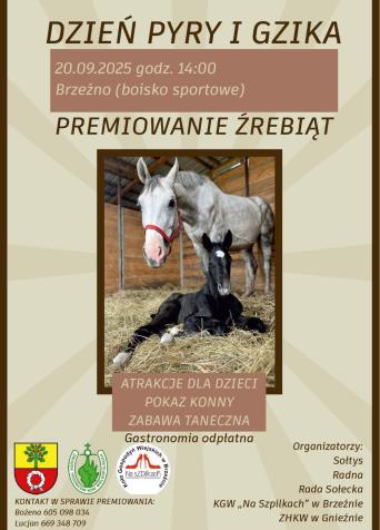 Dzień Pyry i Gzika 20.09 Brzeźno