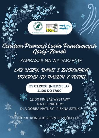 Las uczy, bawi i zachwyca – odkryj go razem z nami!