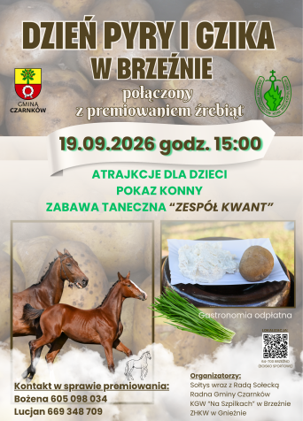 Dzień pyry i gzika połączony z premiowaniem źrebiąt w Brzeźnie