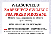 Jak pomóc czworonogom przetrwać falę mrozów