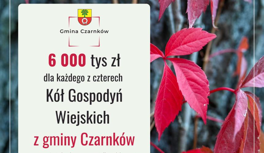 24 000 zł dla czterech Kół Gospodyń Wiejskich – po 6 000 zł dla każdego