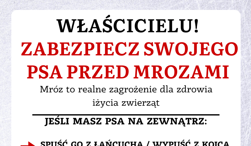 Jak pomóc czworonogom przetrwać falę mrozów