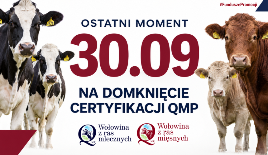 Certyfikat QMP — termin uzyskania upływa 30 września 2026 r.