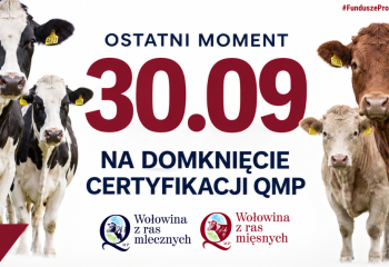 Certyfikat QMP — termin uzyskania upływa 30 września 2026 r.
