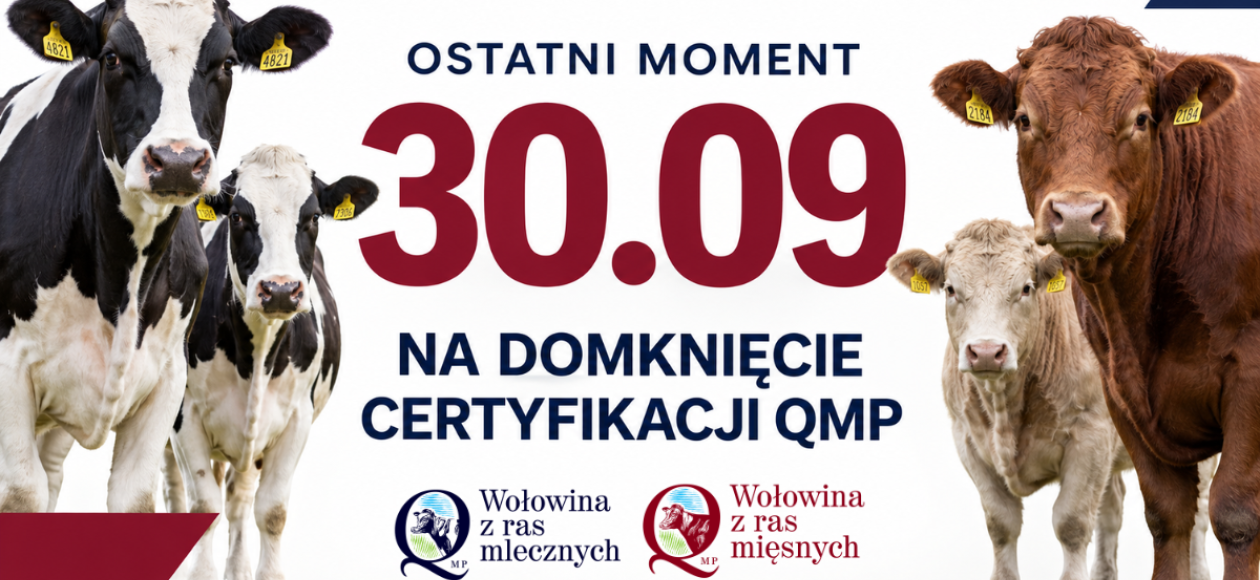 Certyfikat QMP — termin uzyskania upływa 30 września 2026 r.